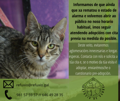 105923975_707691163357266_4133608275422007133_n-500x419