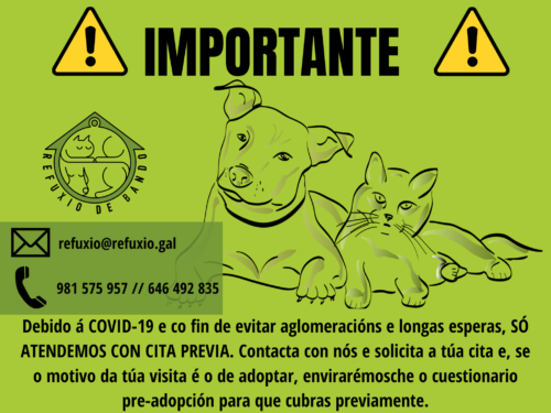 117317560_343838106783817_5866118984833096325_n-500x375