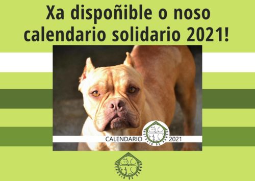 131291670_382642052841851_7761233954116174977_n-500x355