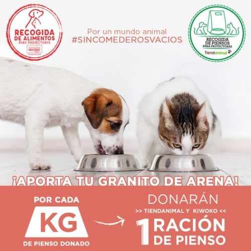 171497111_907172336742480_5363419494160804767_n-500x500