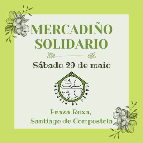 190808068_850130915587751_5584135147849008059_n-500x500