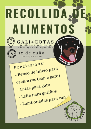 197406758_941604053299308_3656783827782315039_n-353x500