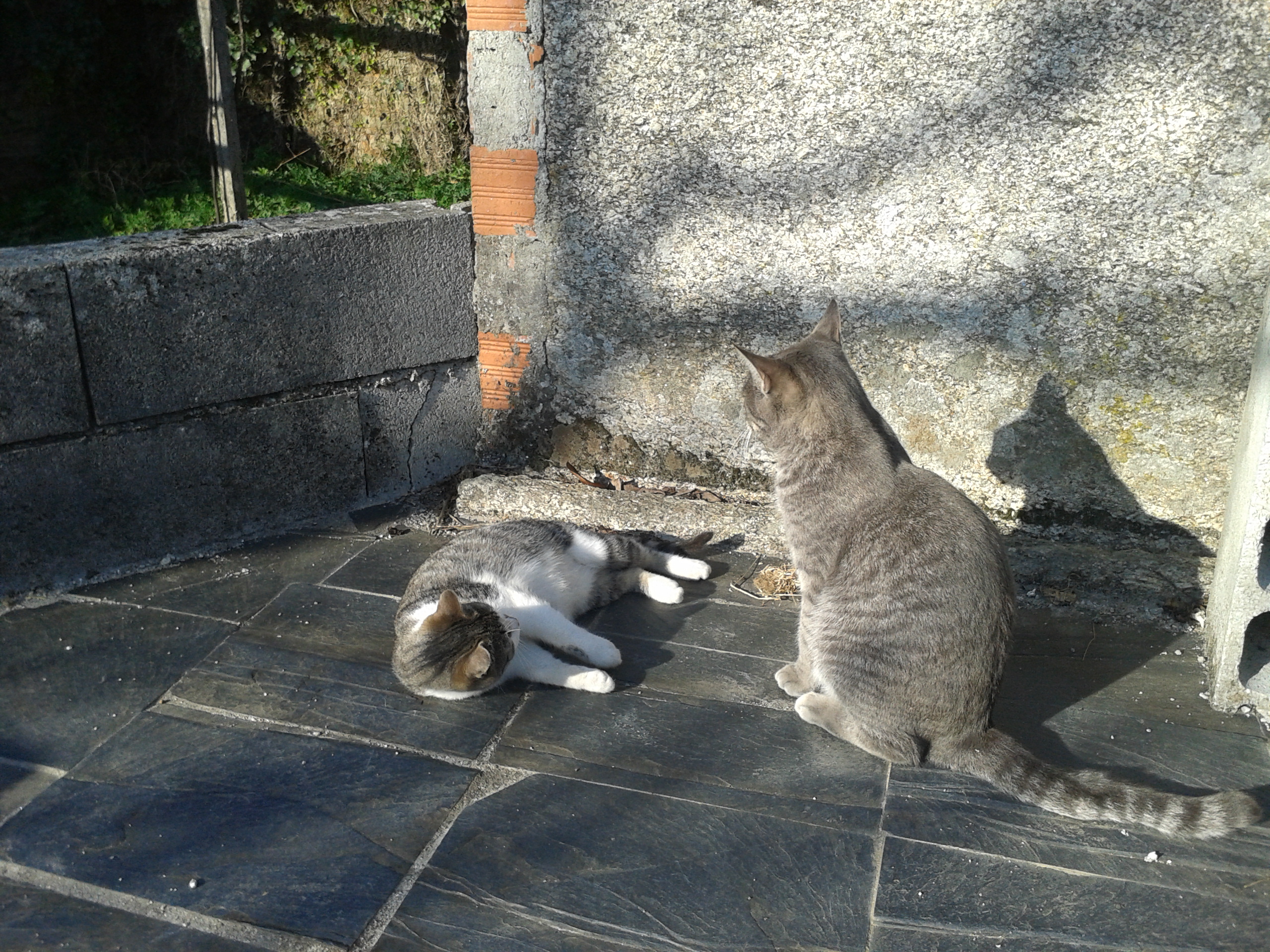 Cayetana y Balaídos