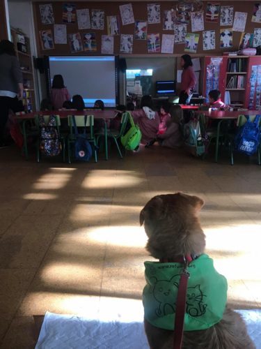 82897933_601493503977033_5926053904876830720_n-375x500-1-375x500