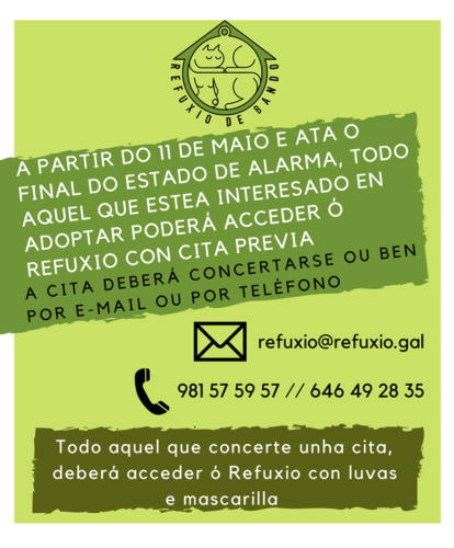 96103456_538418396842262_919315974224609280_n-414x500