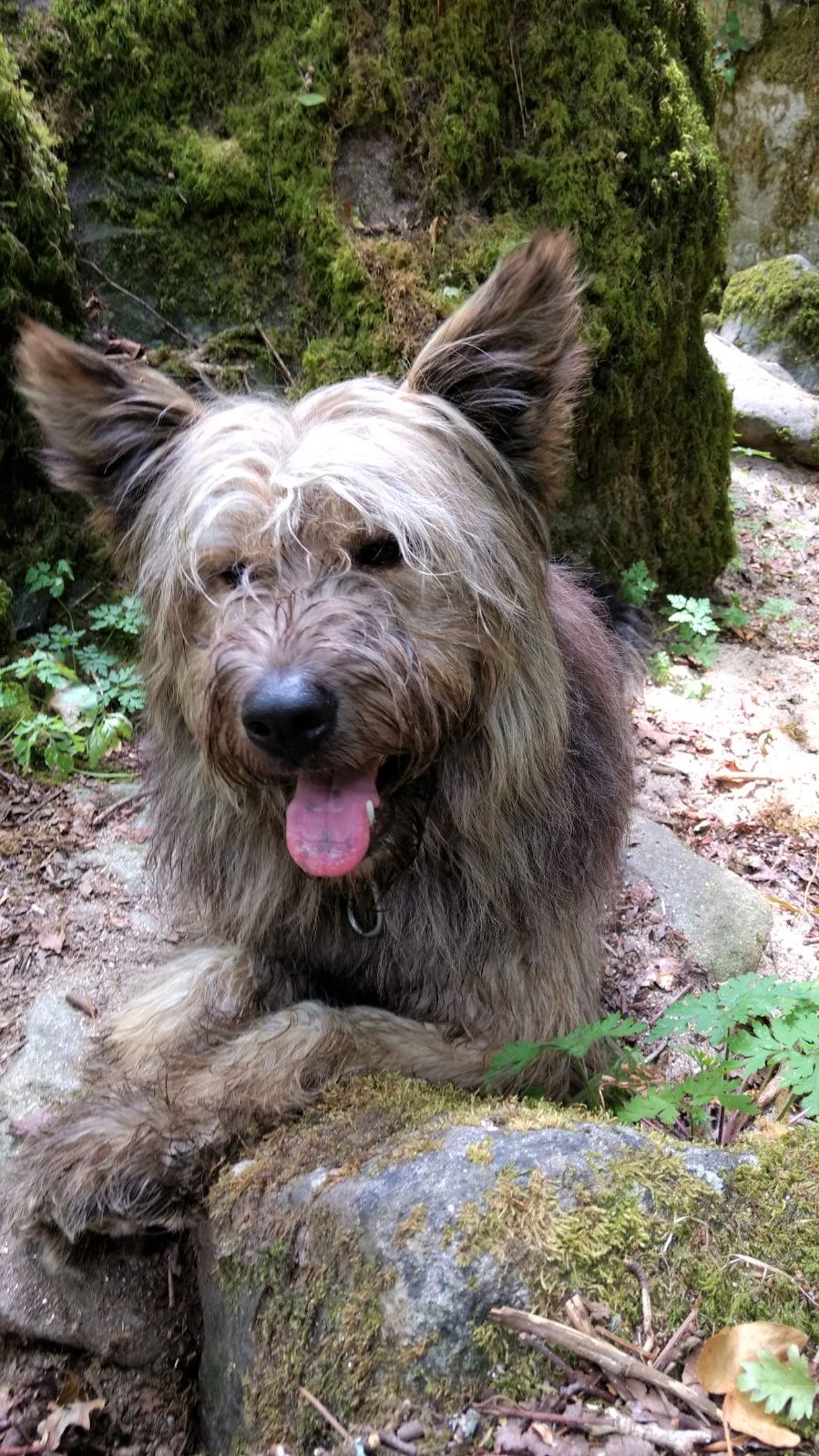 DJANGO (antes SERGEY)