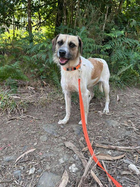 534703060 1066278132286959 5838545232897362737 n