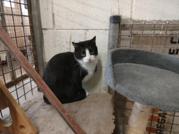 627239124 1195231629391608 6969938476871718871 n