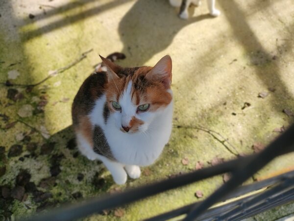 IMG20260223151048