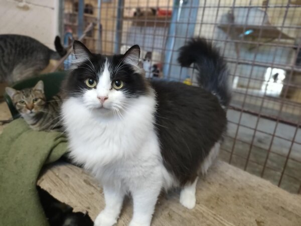 626570861 1192908829623888 699407236449982963 n