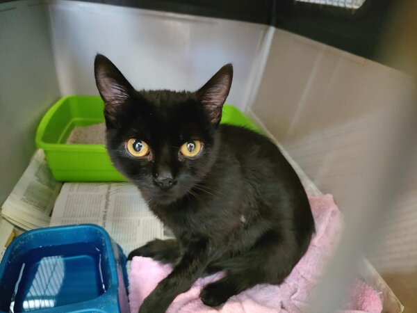 597902447 1154609526787152 3584257803400736840 n