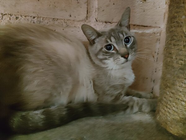 IMG20250730134650