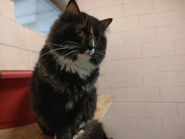 605912083 1168411288740309 5228742166222220246 n