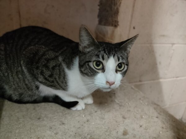 620079389 1185591800355591 6714969822083683993 n