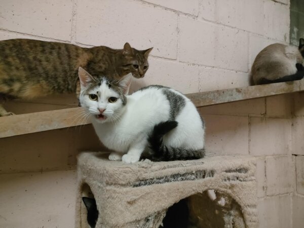 622152400 1189662019948569 17447109024904478 n