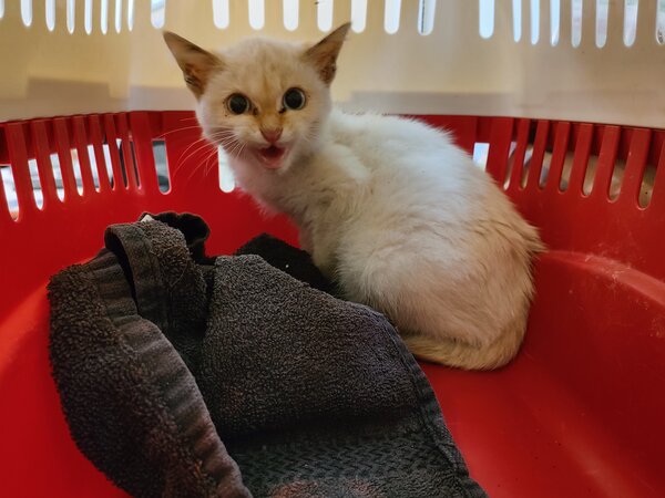 IMG20251030143630 01