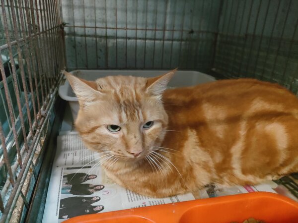 592928696 1149714580609980 2254344664449267180 n