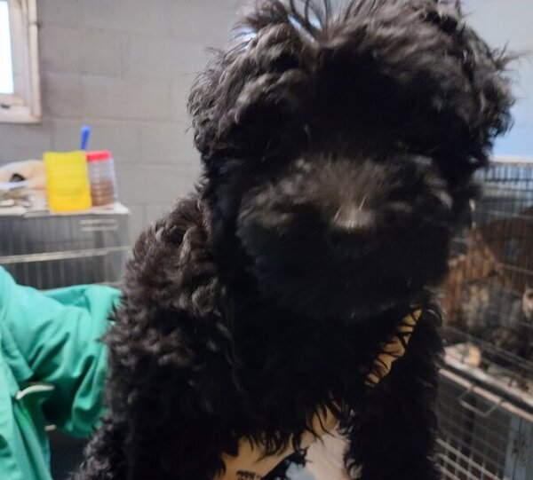 595370615 1150868427161262 7270944496012433065 n