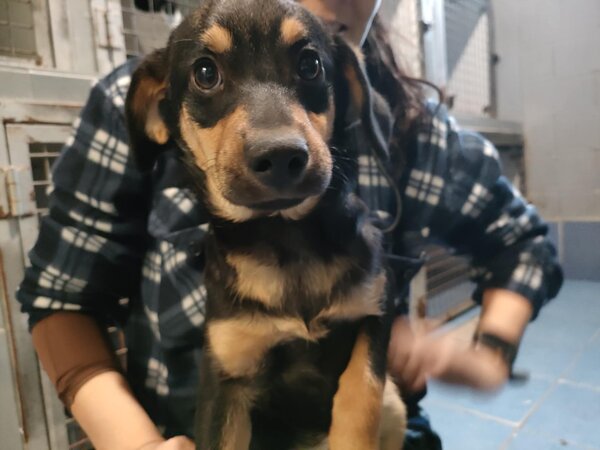 607588306 1168415658739872 3647696278656530381 n