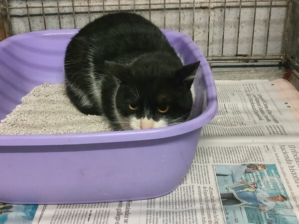 618155978 1184854903762614 6376755698414129448 n