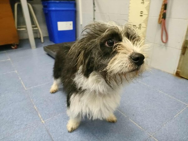 617159169 1040572818270573 3268134796803051714 n