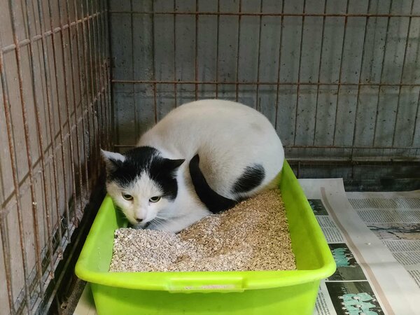 622956518 1914152395852603 7022112591833427676 n