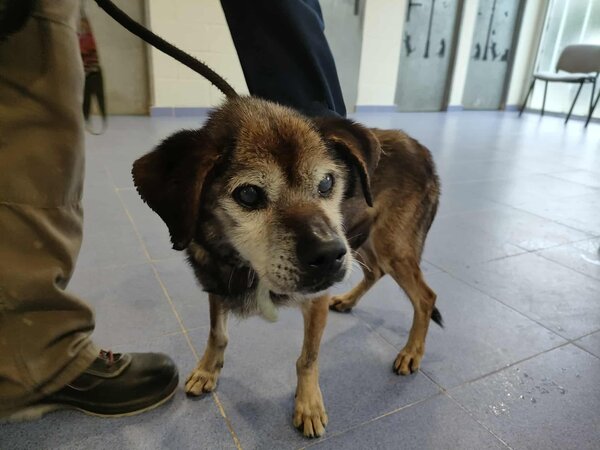 618083934 1627141651966546 2231708021583608705 n