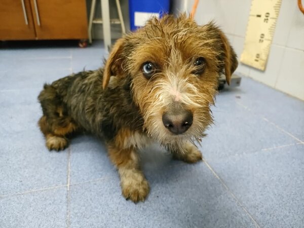 632783530 1201897522058352 5055039004114269884 n