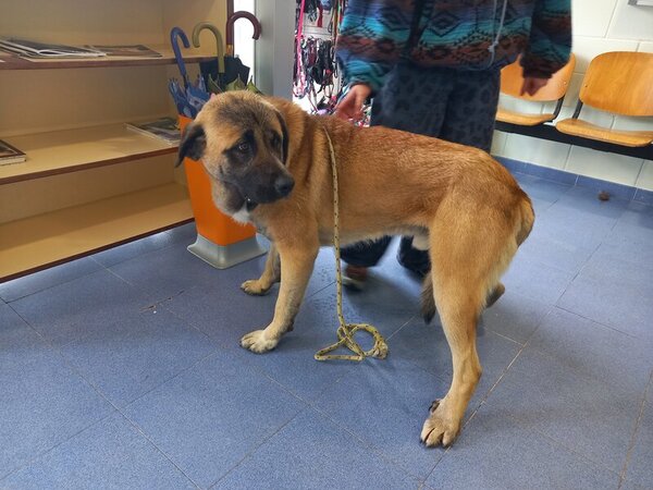 634209737 1204005408514230 3282460765816904987 n