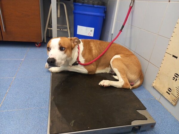 634695623 1203193948595376 7242343390936928310 n