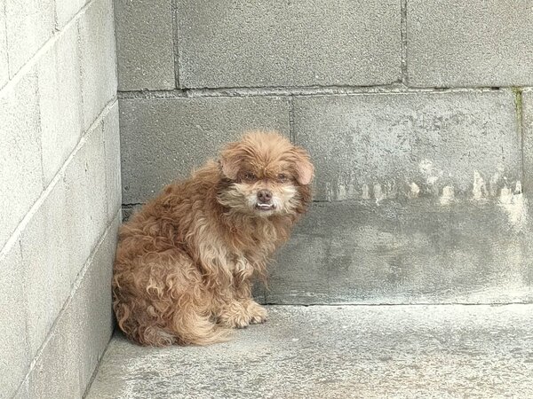 655285463 1229703442611093 5105165825071250122 n