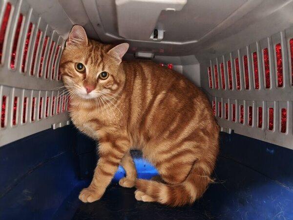 655978012 1230577792523658 4495462383233426044 n